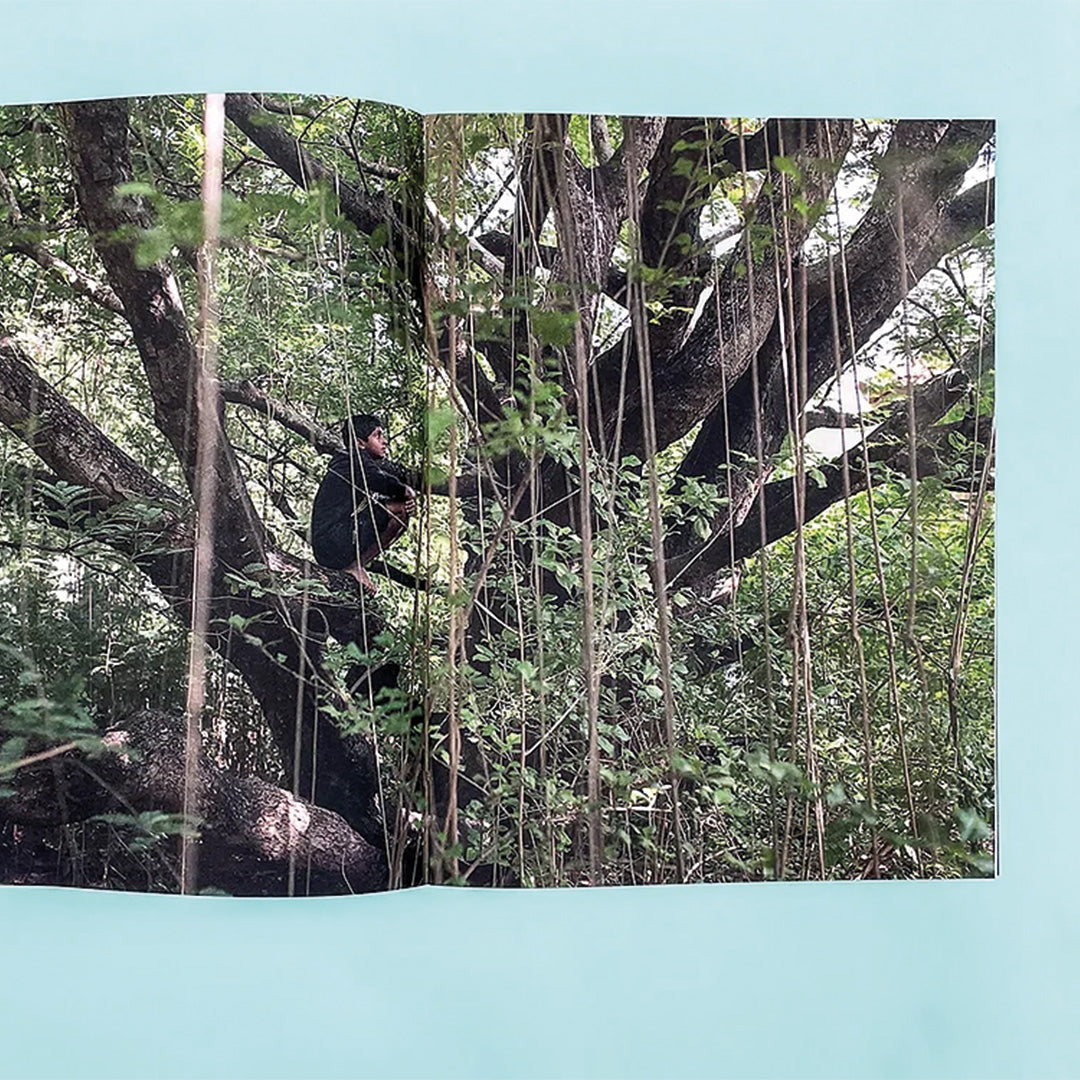 How to climb a tree