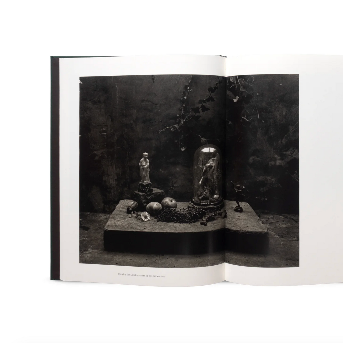 The Stillness of Life