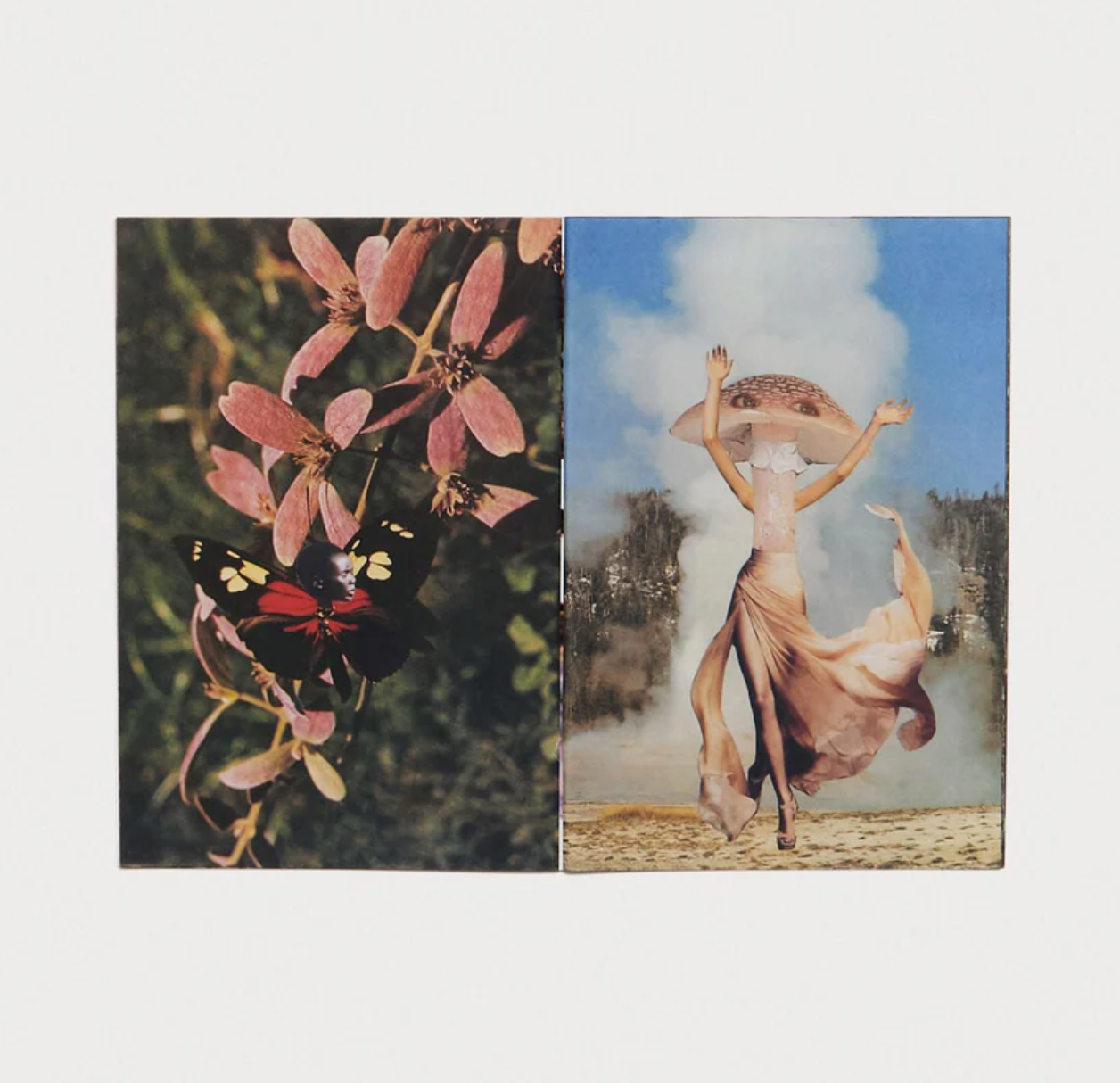 Hybrids and Mushroom friends