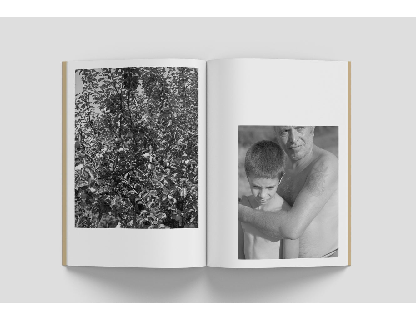 Macaroni Review - Origins