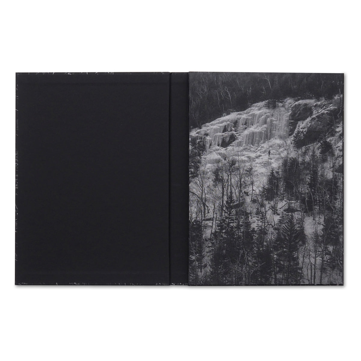 The moon belongs to everyone