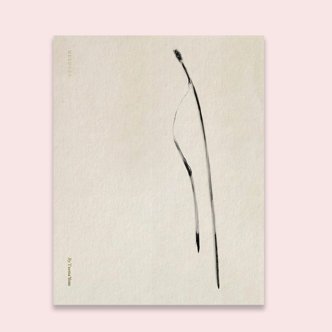 Txema Yeste Needles /anglais/espagnol