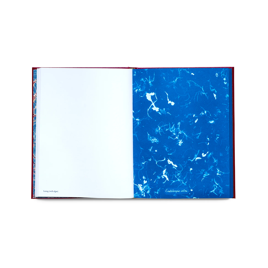 Photographs of British Algae