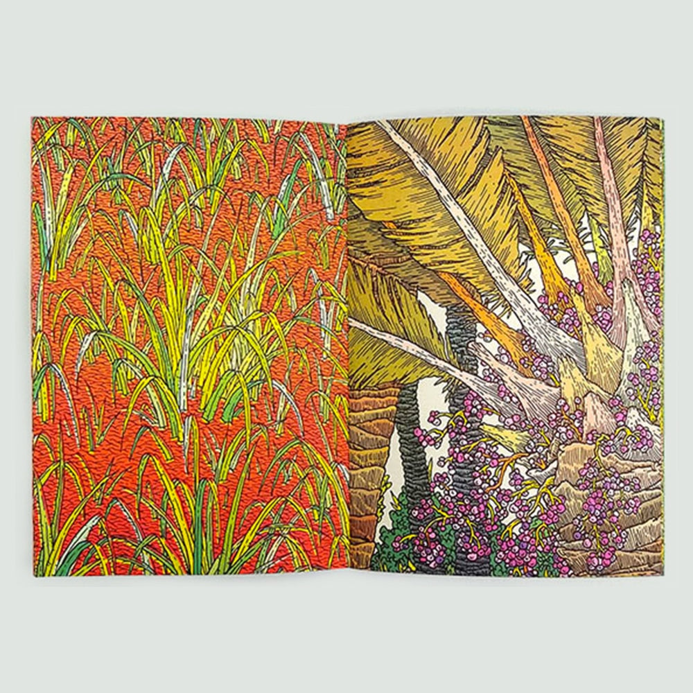 Succulents