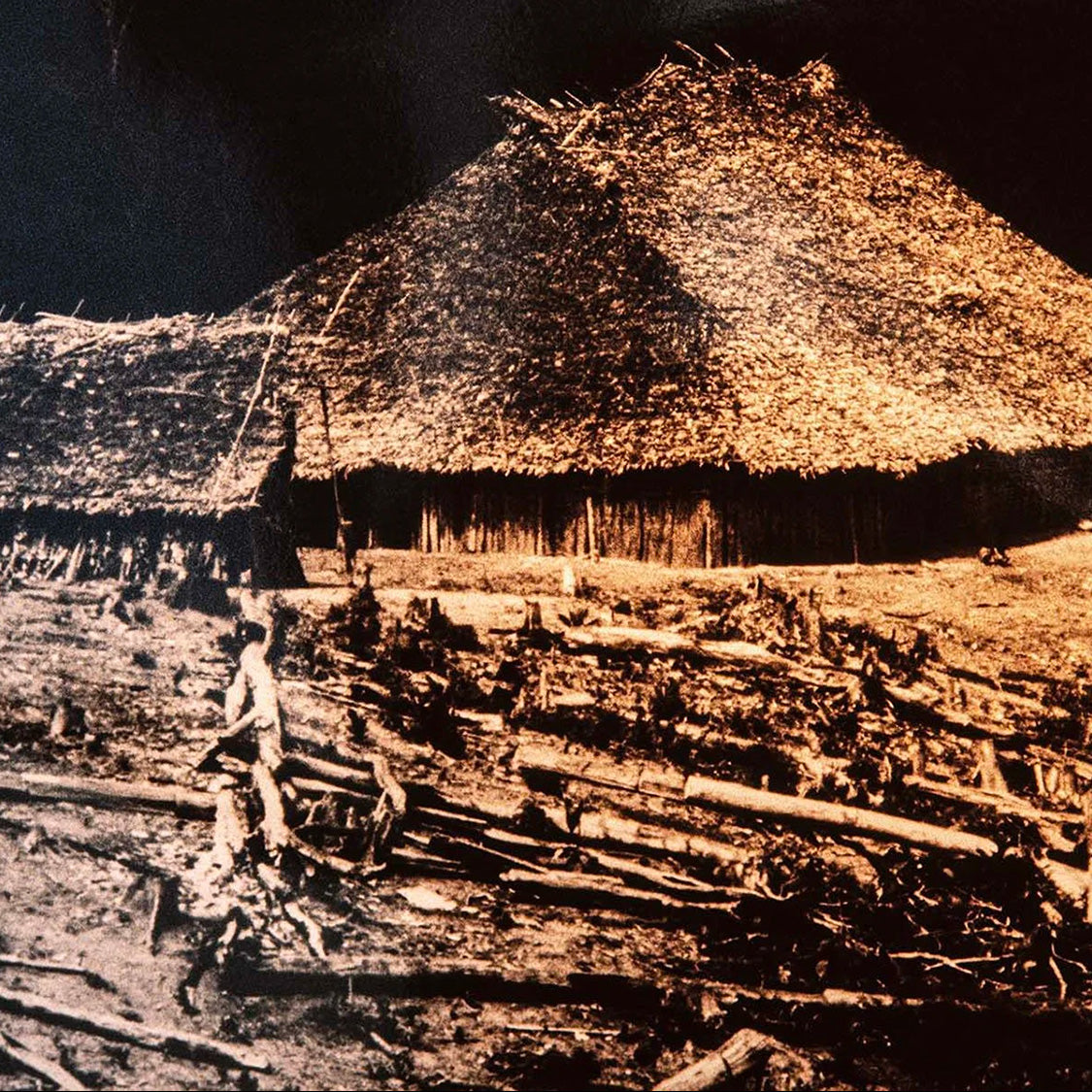 Genocídio do Yanomami