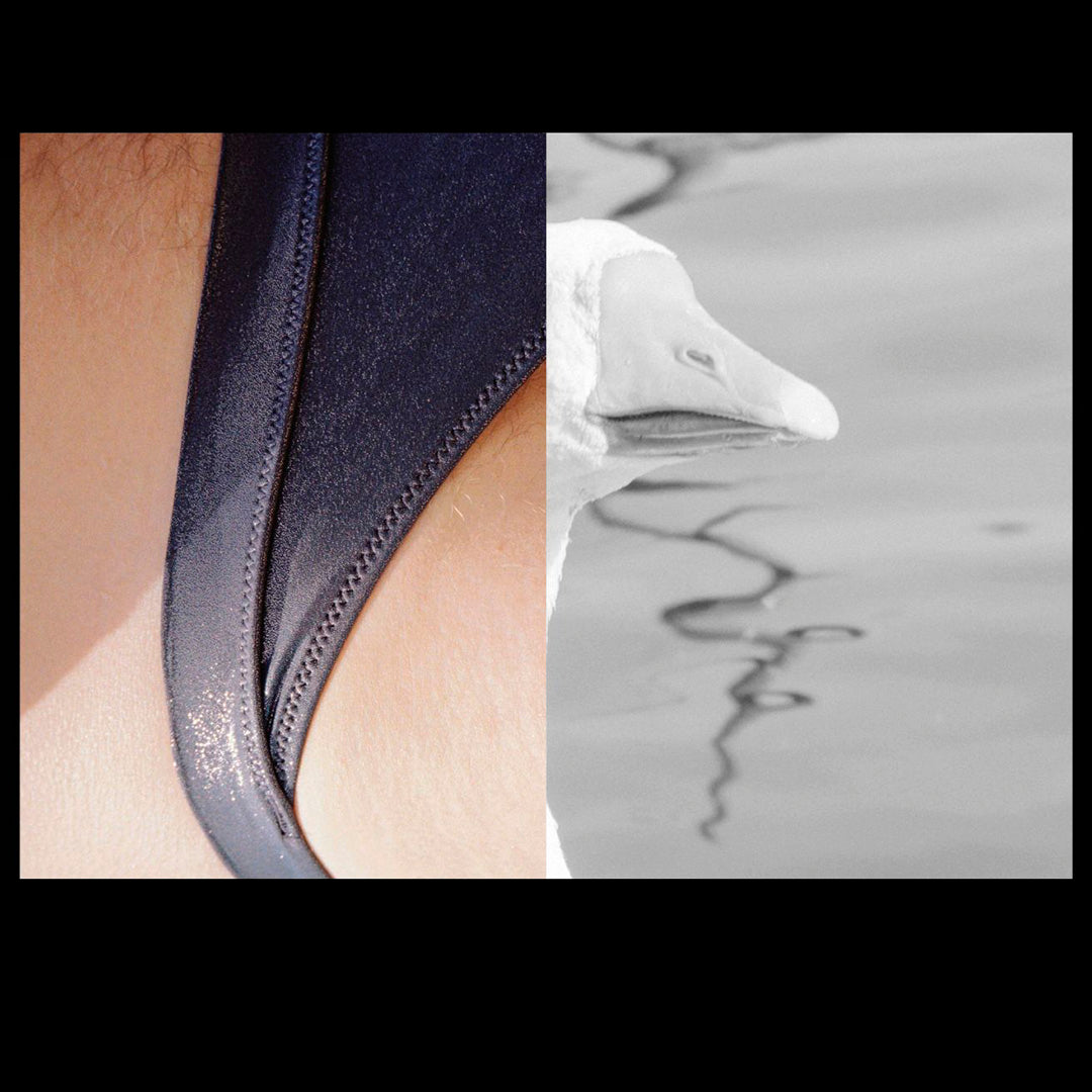 Lemons gazing at Mount Etna