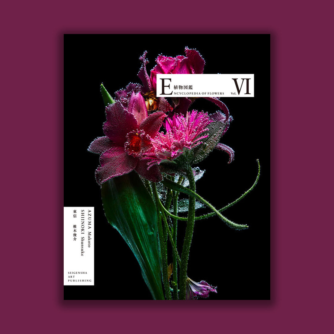 Encyclopedia of Flowers VI – librairie sans titre