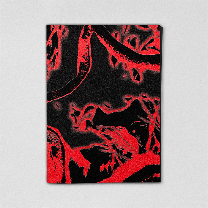 Flashes 4 - consciences de fêtes