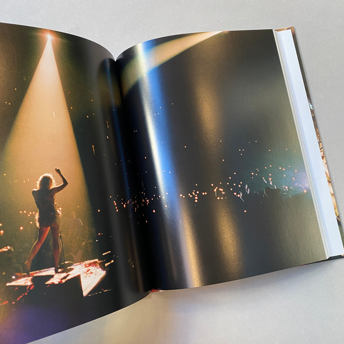 Melissa Auf der Maur My 90s Rock Photographs