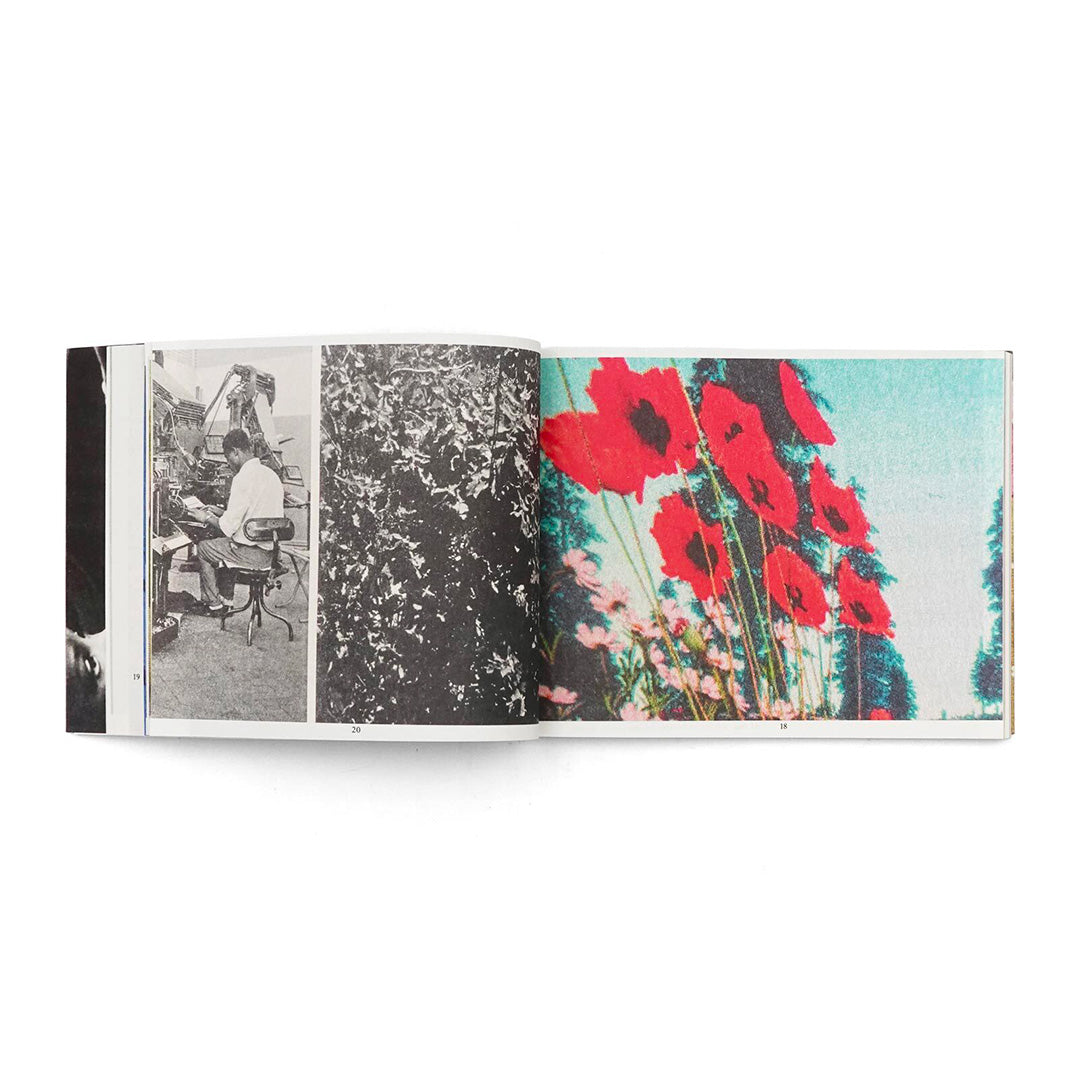 The Most Beautiful Swiss Books 2024