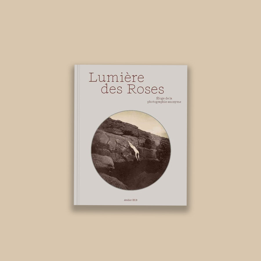 Lumière des roses