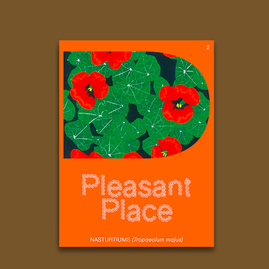 Pleasant Place 2: Nasturtiums (Tropaeolum Majus)