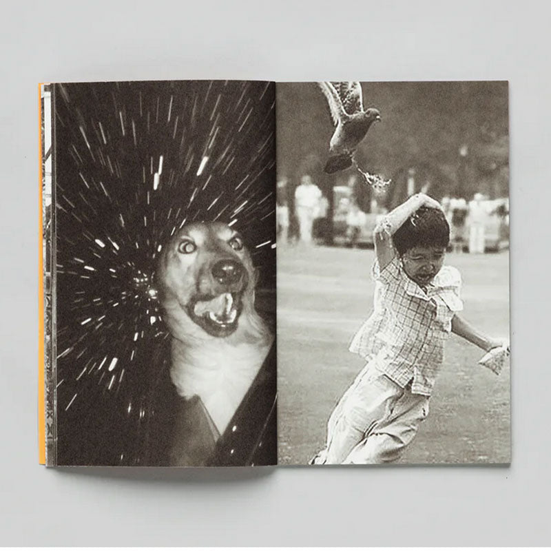 Thomas Mailaender Animal Party /franCais