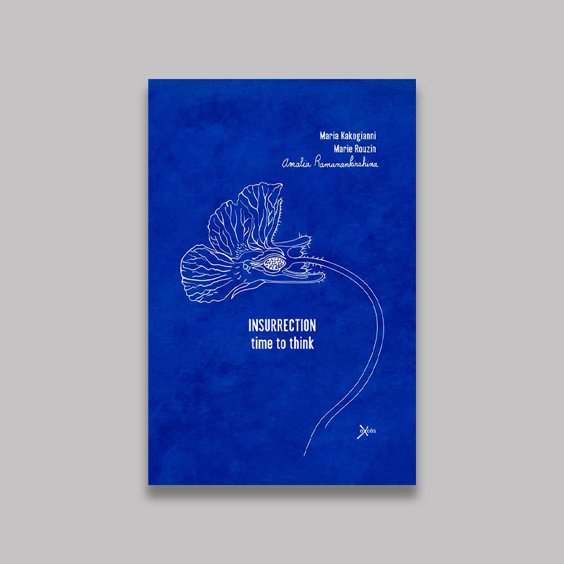 Insurrection. Time to think