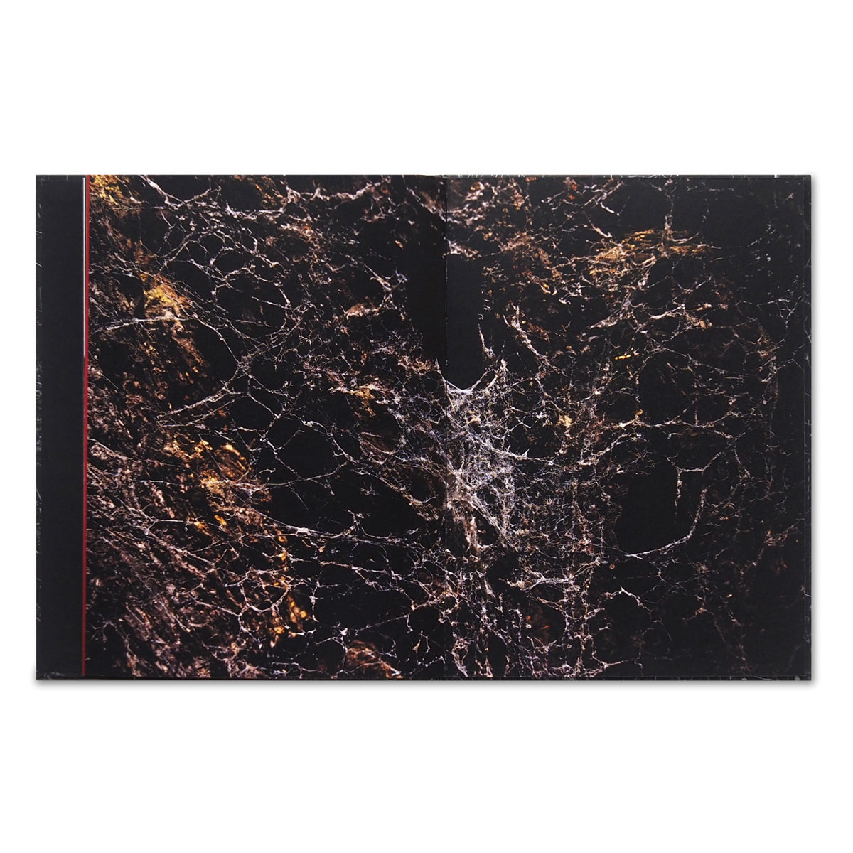 The moon belongs to everyone