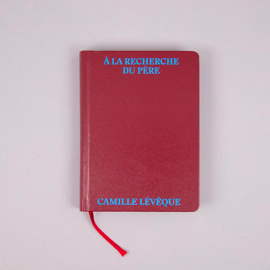 A la recherche du père