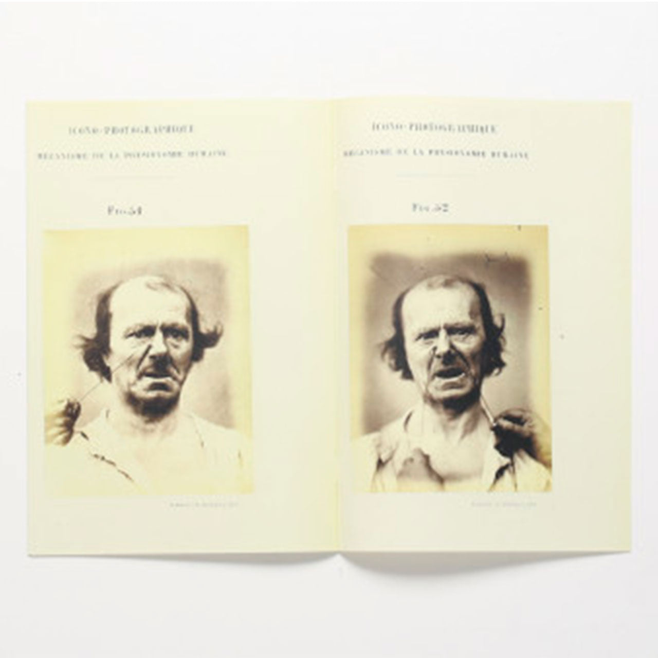 Specimen - photographic electrophysiology