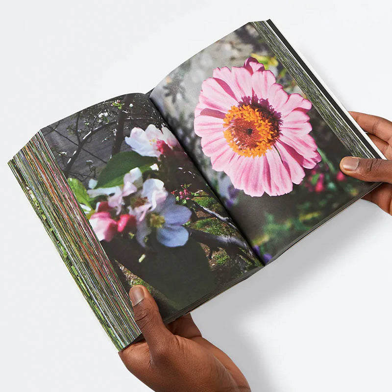 Sold - tuttifiori.Rar