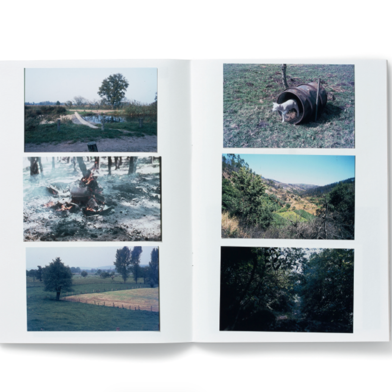 The universal photographer