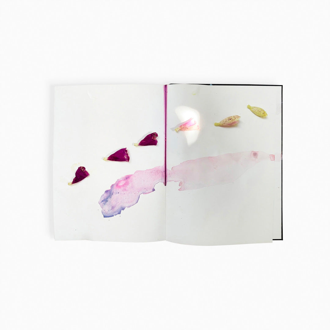 Ephemeral Field Journal