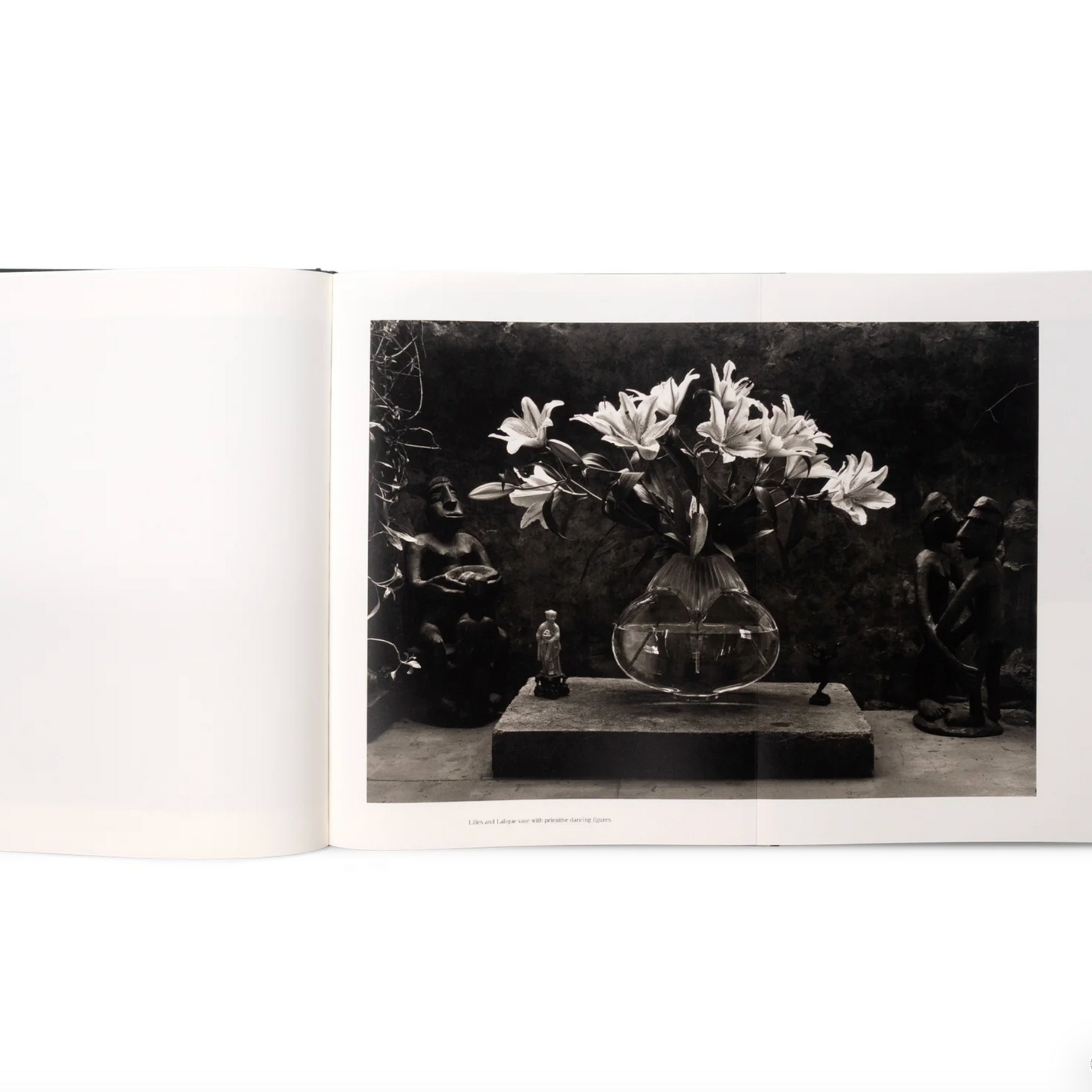 The Stillness of Life