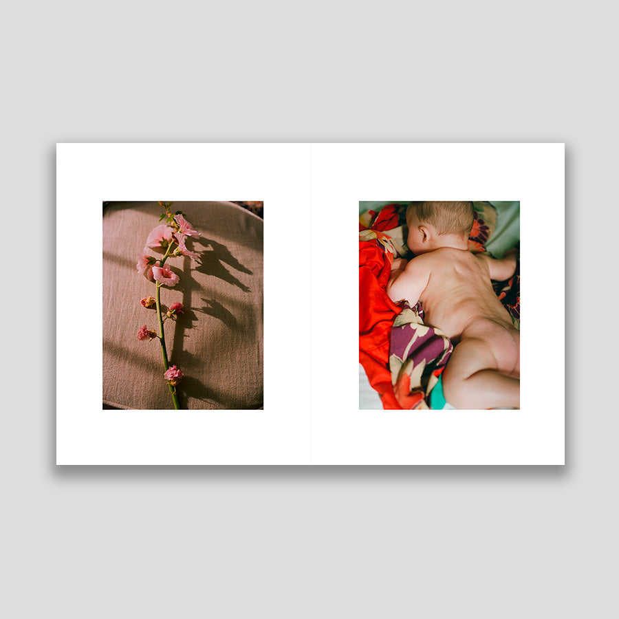 Carlotta Manaigo A Study on Folds (Season Series #9 Spring) /anglais