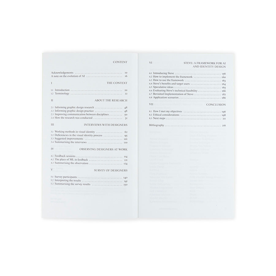 Steve: A Framework for AI and Identity Design