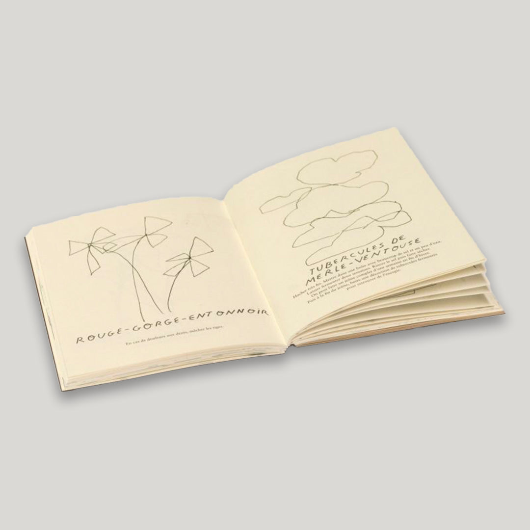 Construire un lac, faire disparaître des cailloux, porter un chapeau