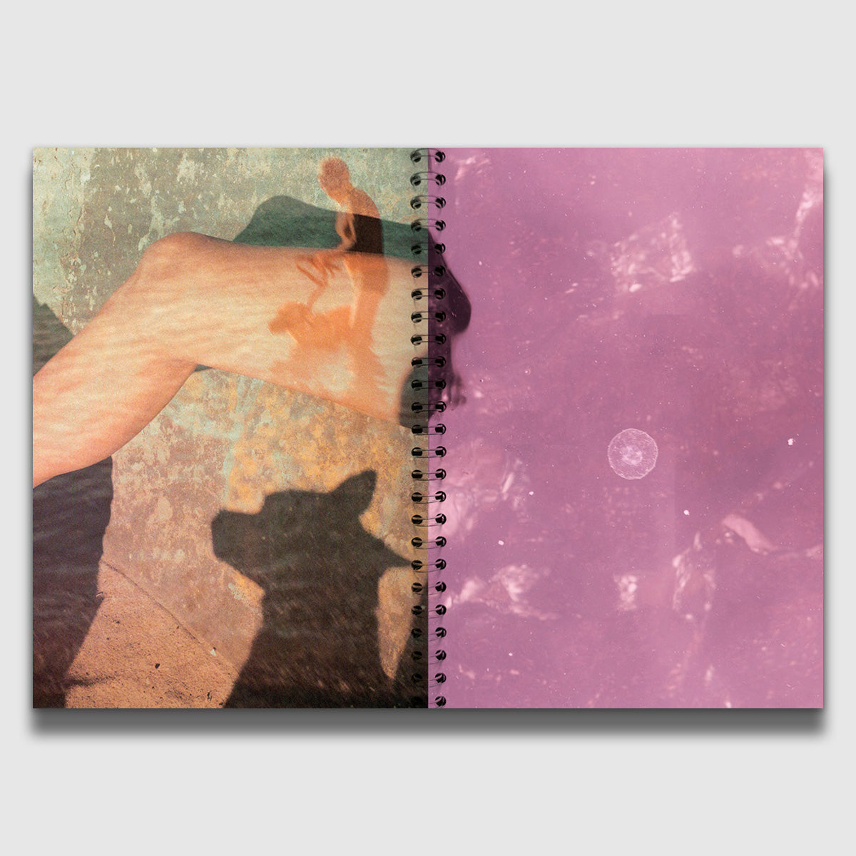 Meat, fish & eggplant caviar