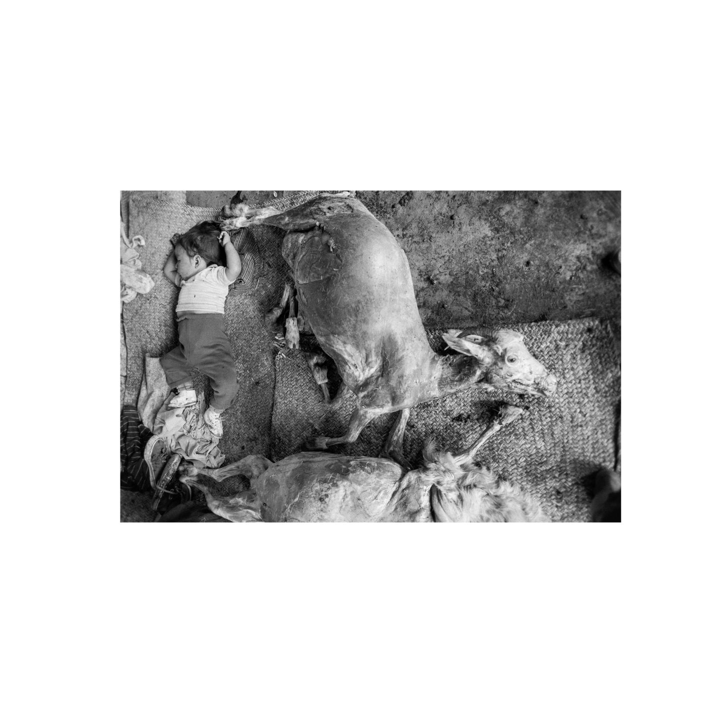 Graciela Iturbide Infancia