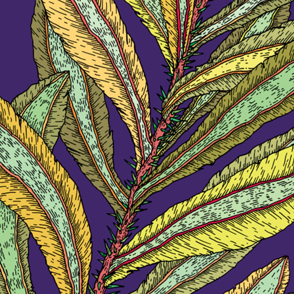 Succulents