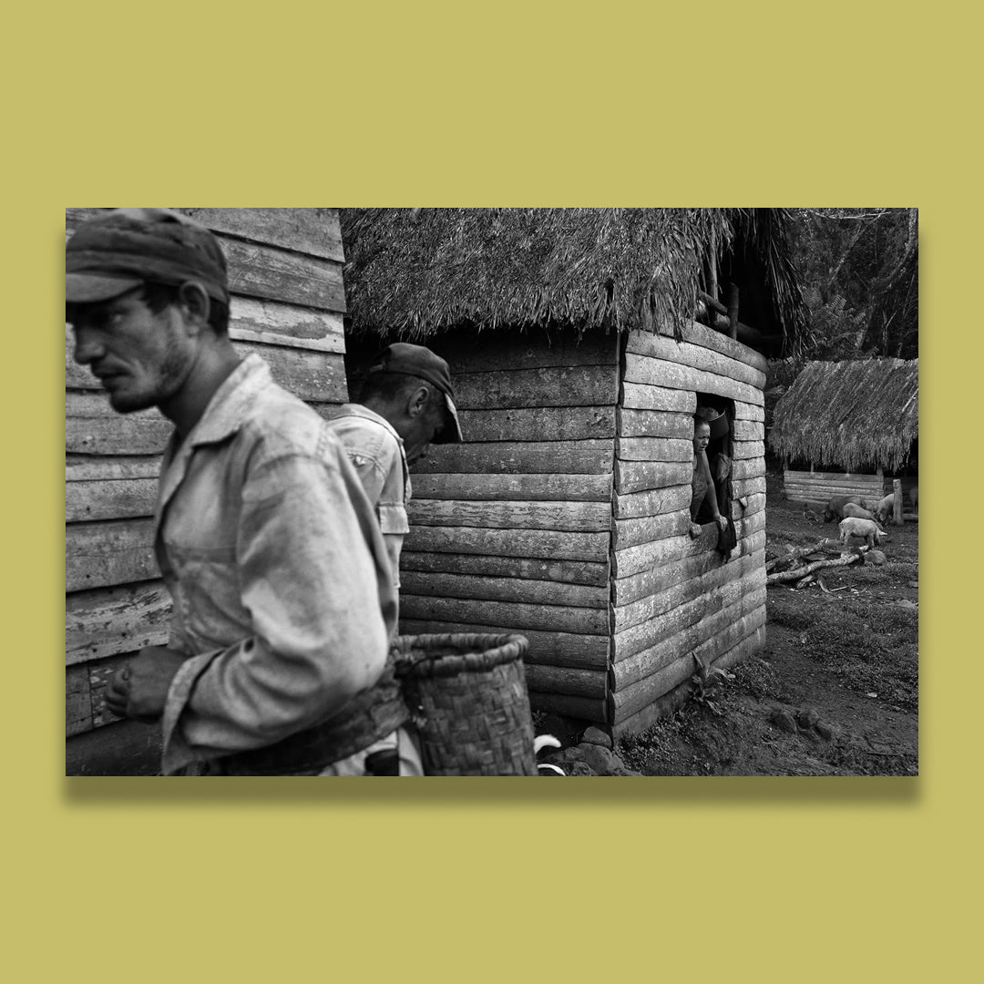 CAMPESINO CUBA