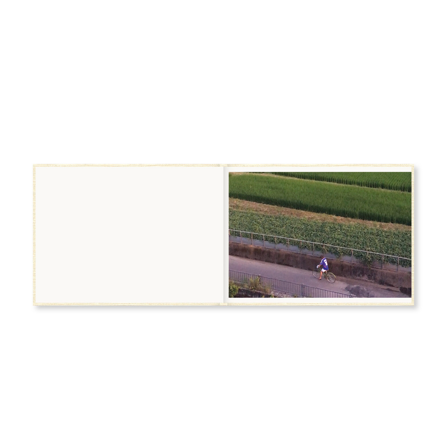 Cintia Tortosa Santisteban Screenshots of a Rice Field and its Surroundings