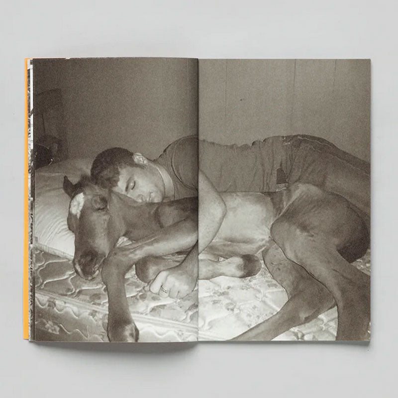 Thomas Mailaender Animal Party /franCais