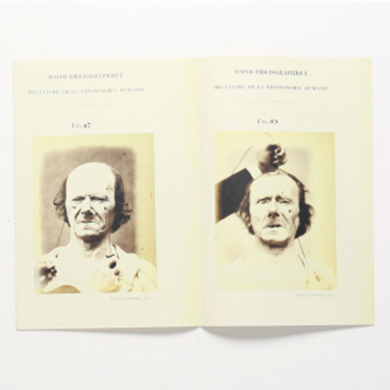 Specimen - photographic electrophysiology