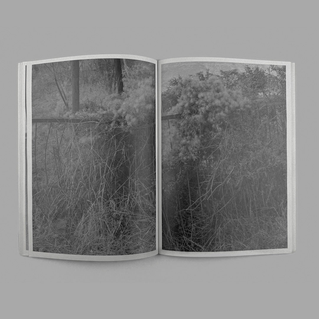 Hassan Kurbanbaev One Head and Thousand Years /English