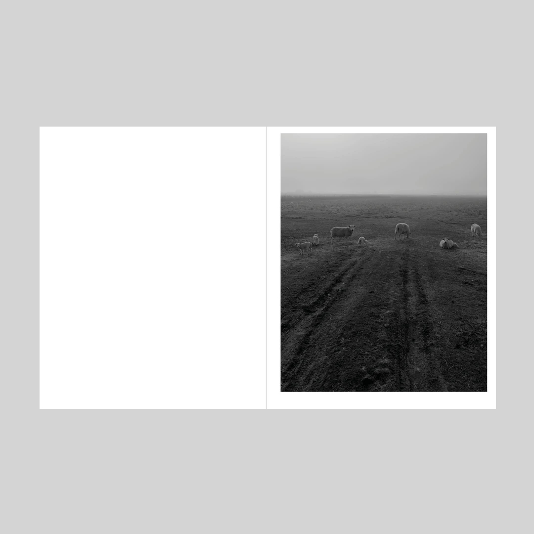 This land (copie signée)