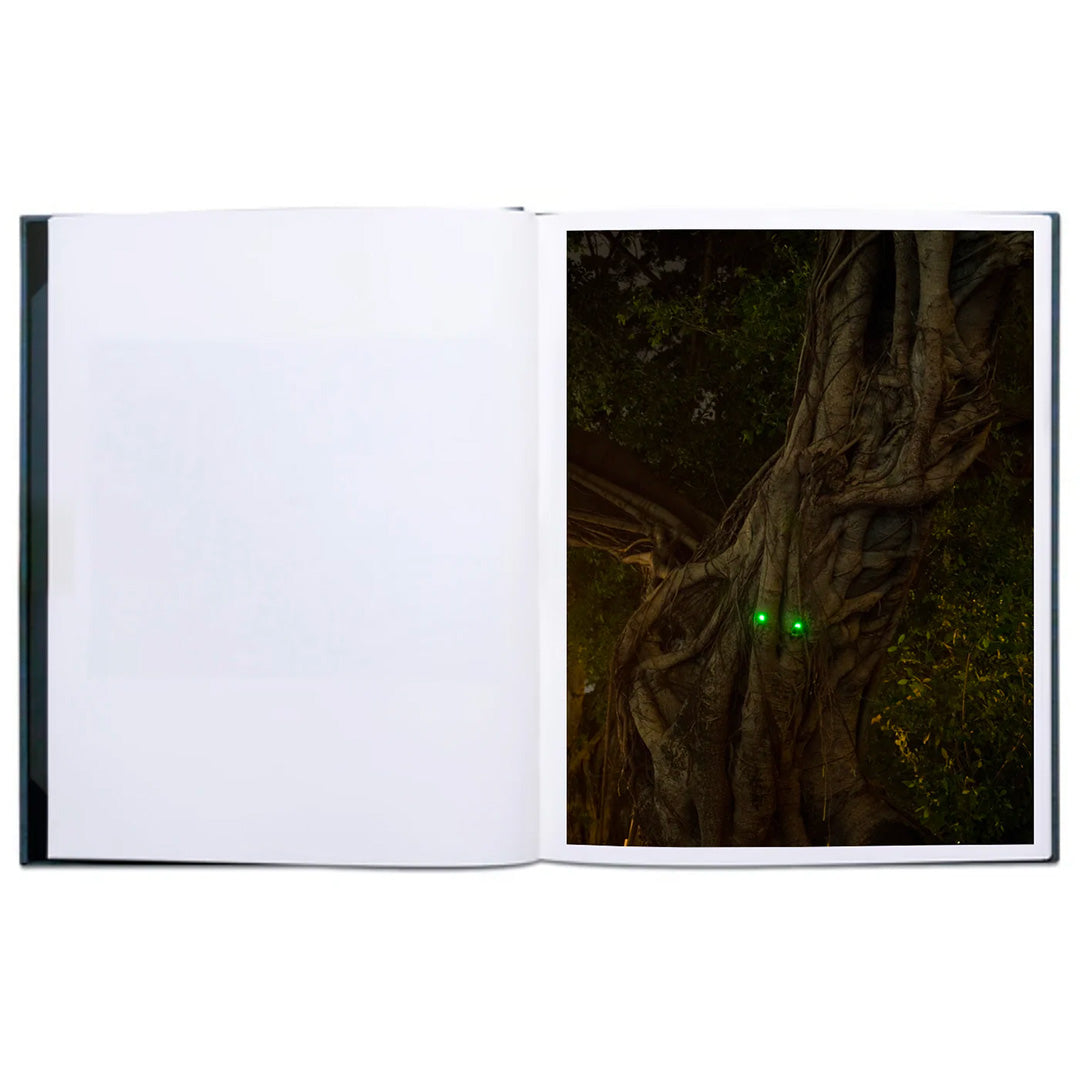 When I feel down I take a train to the Happy Valley