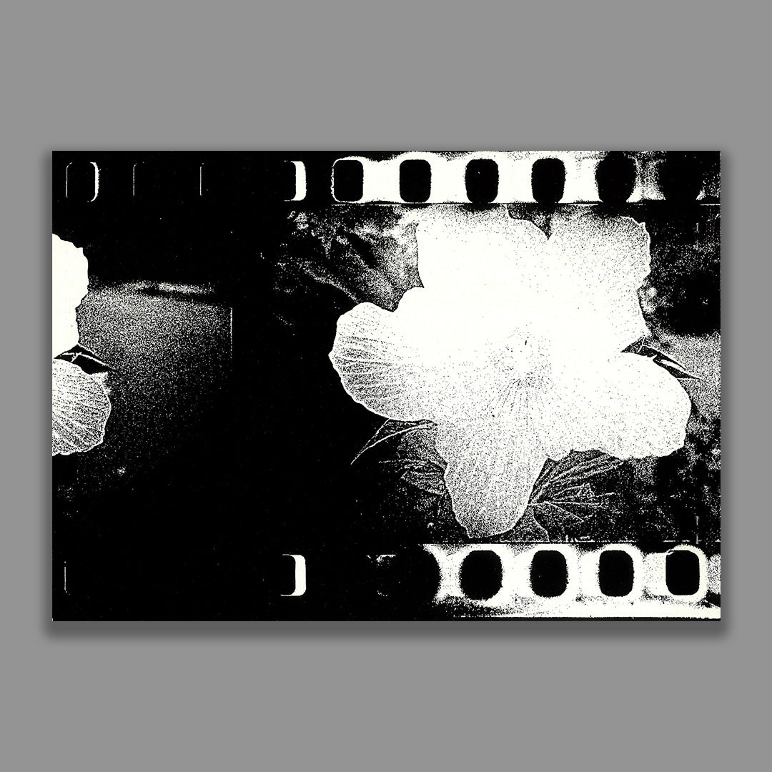 Flowers (signé)