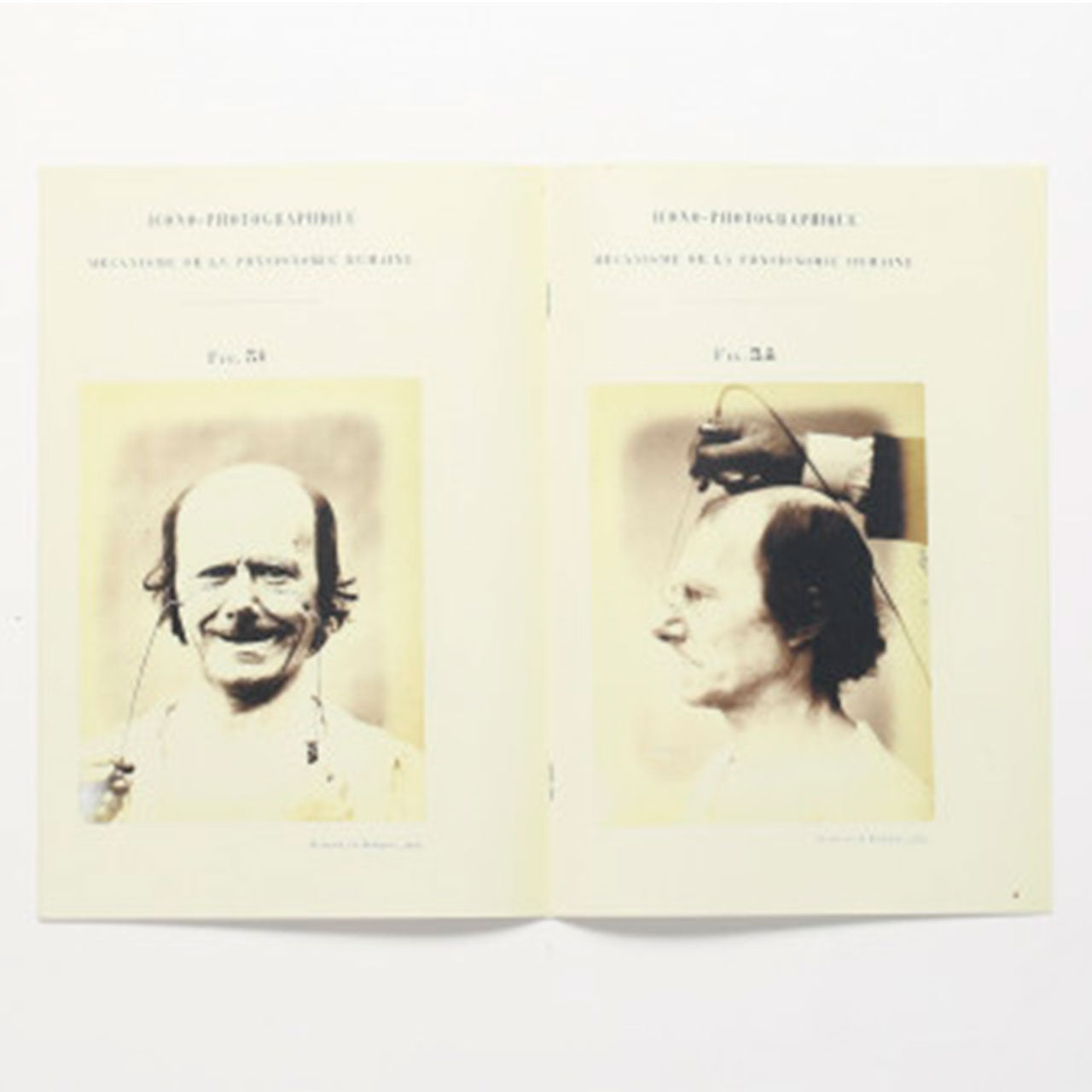 Specimen - photographic electrophysiology