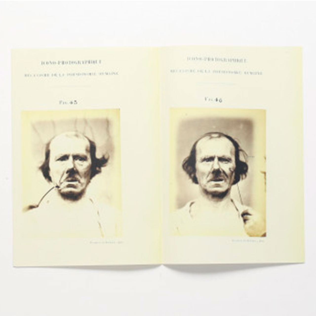 Specimen - photographic electrophysiology