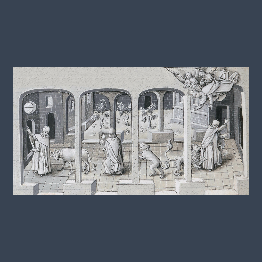 Animaux et humains : une histoire partagée