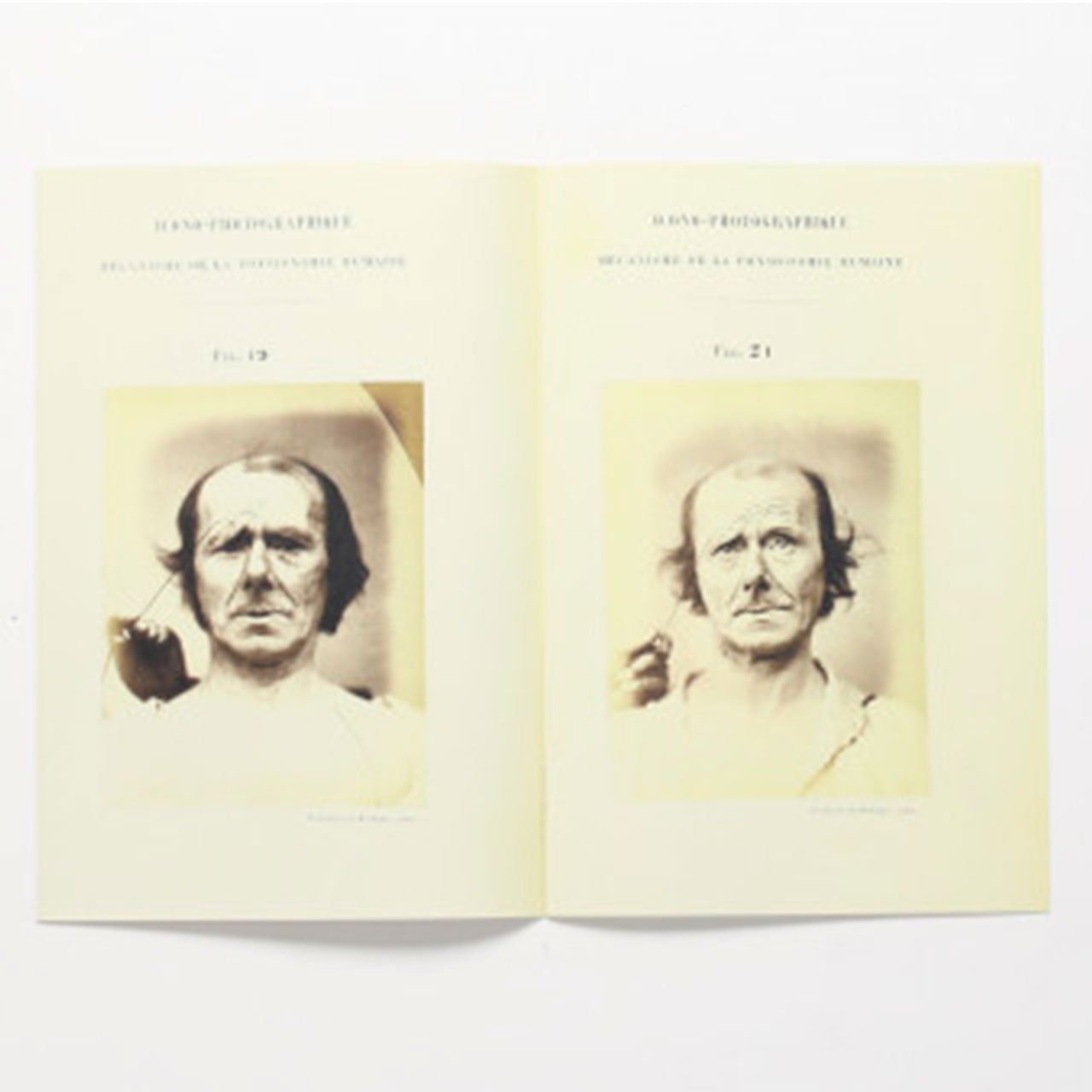 Specimen - photographic electrophysiology