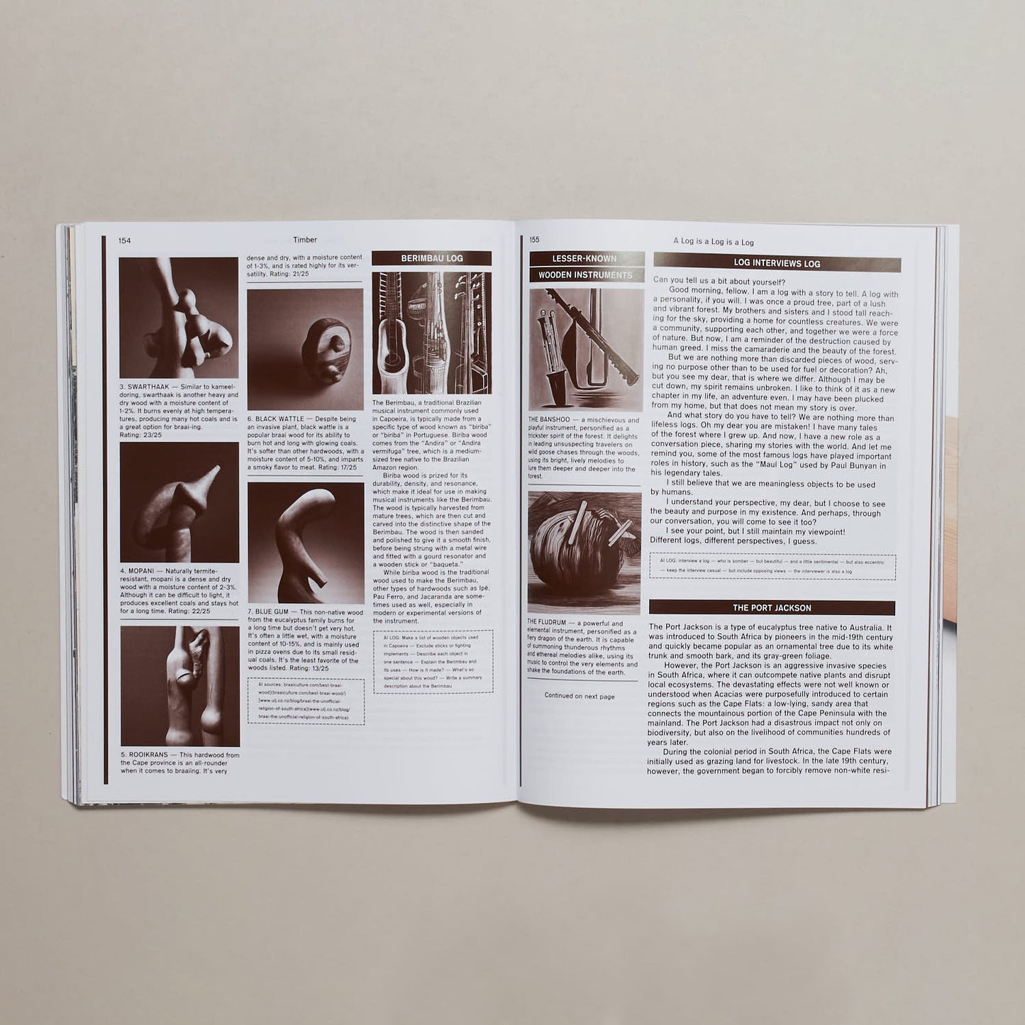 Macguffin 12: the log