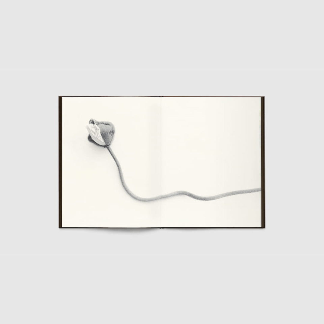Time in Air, Time in Paper