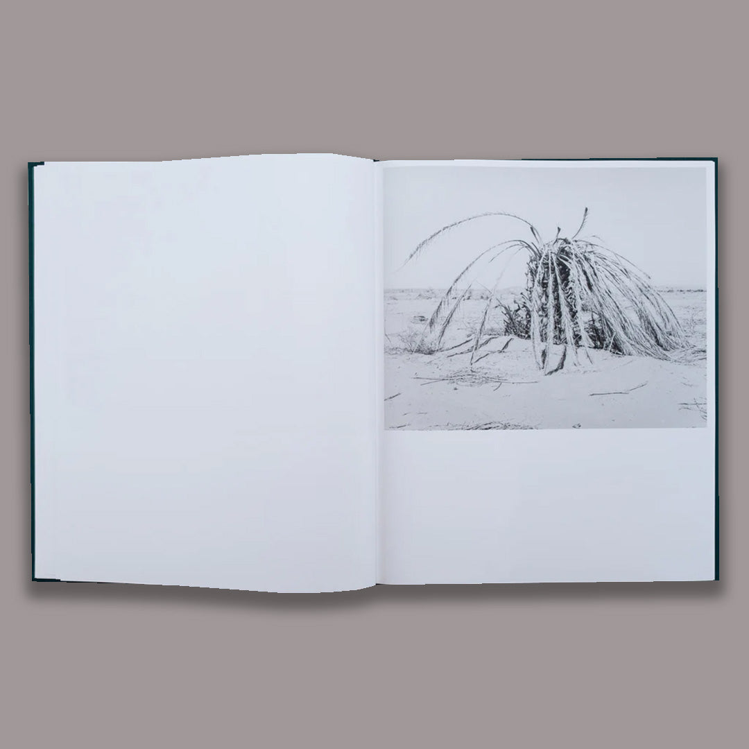 Sybren Vanoverbergen Conference of the Birds /anglais