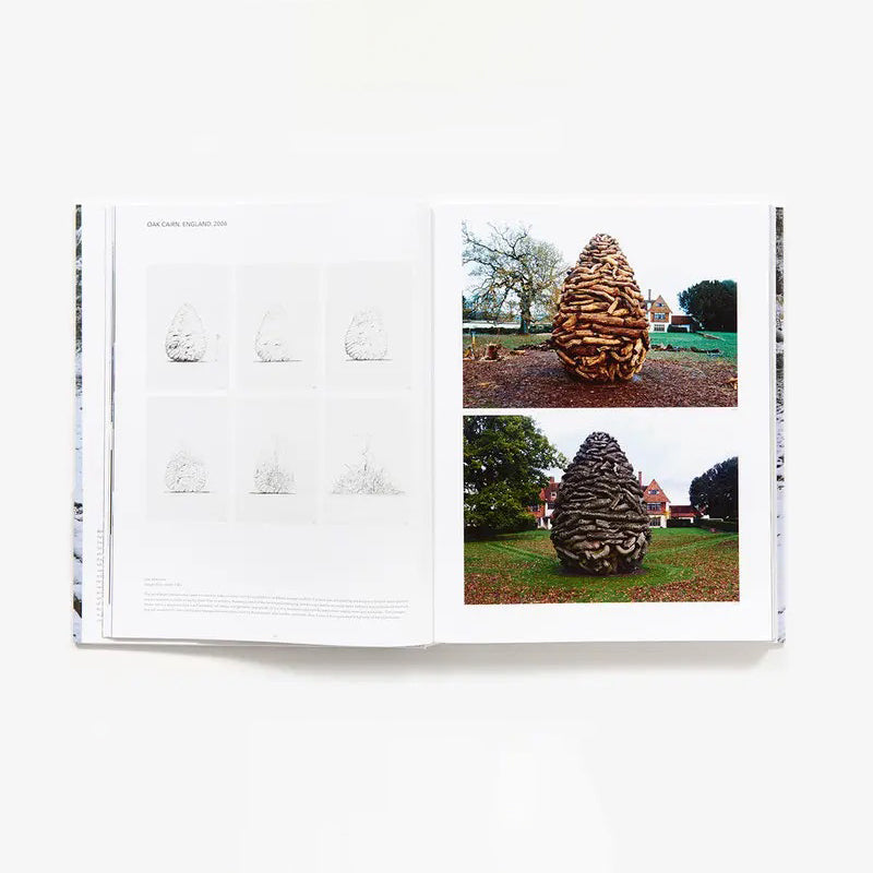 Andy Goldsworthy: Projects