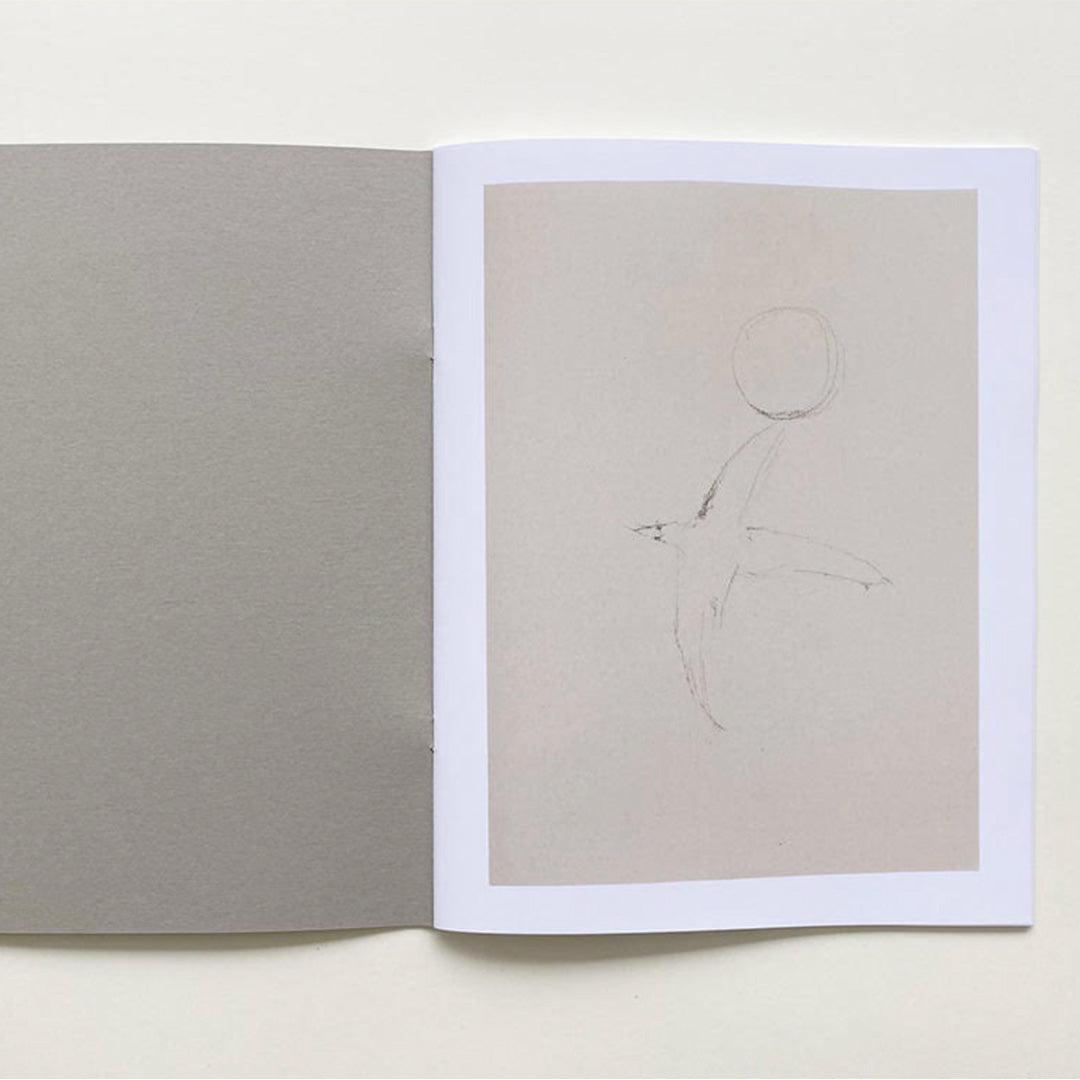 Birds Flowers Sun Spirals