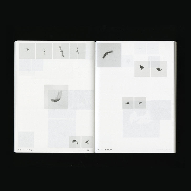 Ornithology (new edition)