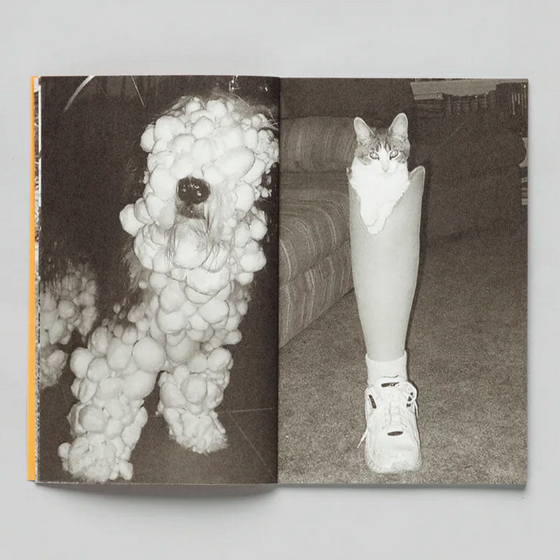 Thomas Mailaender Animal Party /franCais